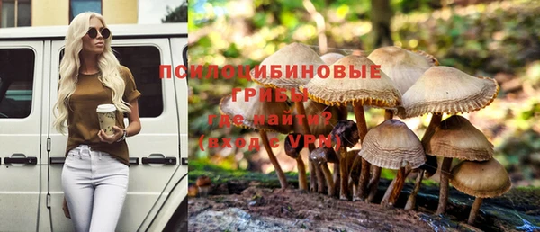 гашик Абаза