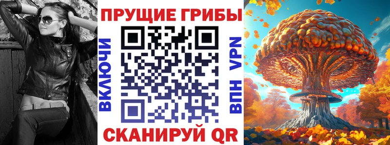 купить наркотик  ОМГ ОМГ как зайти  Псилоцибиновые грибы ЛСД  Азнакаево 